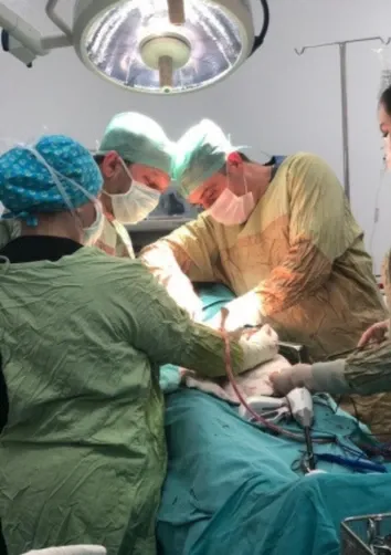 Op. Dr. Ömer Fatih ÇELİK — gallery image 2